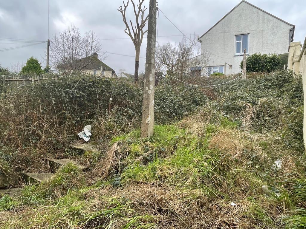 Lot: 12 - FREEHOLD HOUSE FOR IMPROVEMENT - Rear overgrown garden with steps